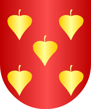 ESCUDO ALEATORIO